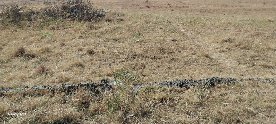  Bedroom Property for Sale in Clocolan Free State